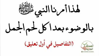الحكمة في الأمر بالوضوء بعد أكل لحم الإبل
