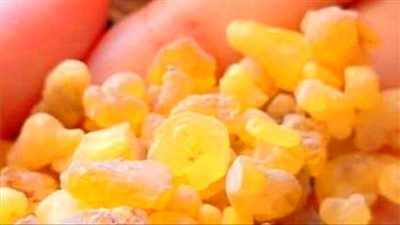 لبان الدكر يعتبر بوتوكس طبيعي للبشرة ح يبهرك لو استخدمتيه تونر او ماسك