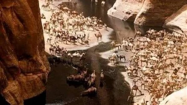 موقع أيام نيوز