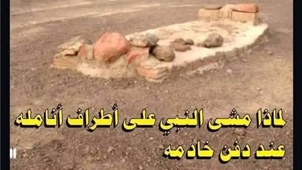 موقع أيام نيوز