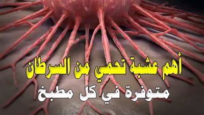 طبيب روسي يكشف عن أهم عشبة تحمي من السړطان .. موجودة في كل مطبخ