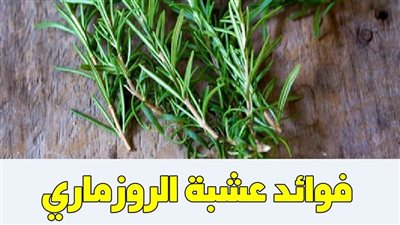 أسرار الروزماري وفوائده على الجسم