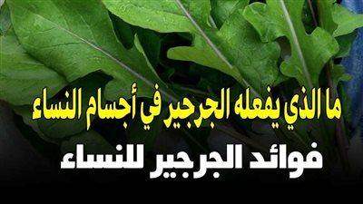 فوائد الجرجير للنساء