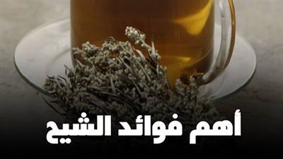 أهم فوائد الشيح ومميزاته العلاجية المختلفة