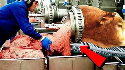 المزارع الذكية هي الطريق نحو تحقيق الأمن الغذائي