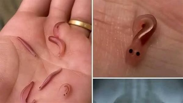 موقع أيام نيوز