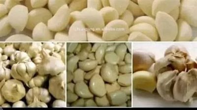 حبة ثوم واحده فقط للقضاء على ضعف النظر نهائيا معجزة تحسين البصر في اقل من شهر لقوة نظر 6/6