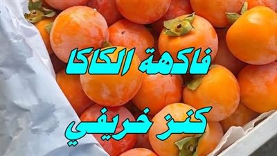 ما الذي يحدث لجسمك عند تناول الكاكا فاكهة الأساطير